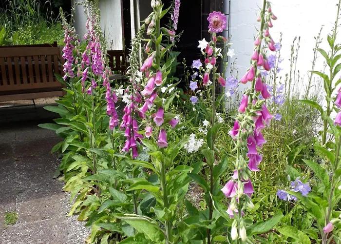 Appartement Atelierhaus Tannenweg *